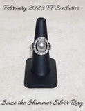 Seize The Shimmer - Fashion Fix Exclusive February 2023 - Silver Ring